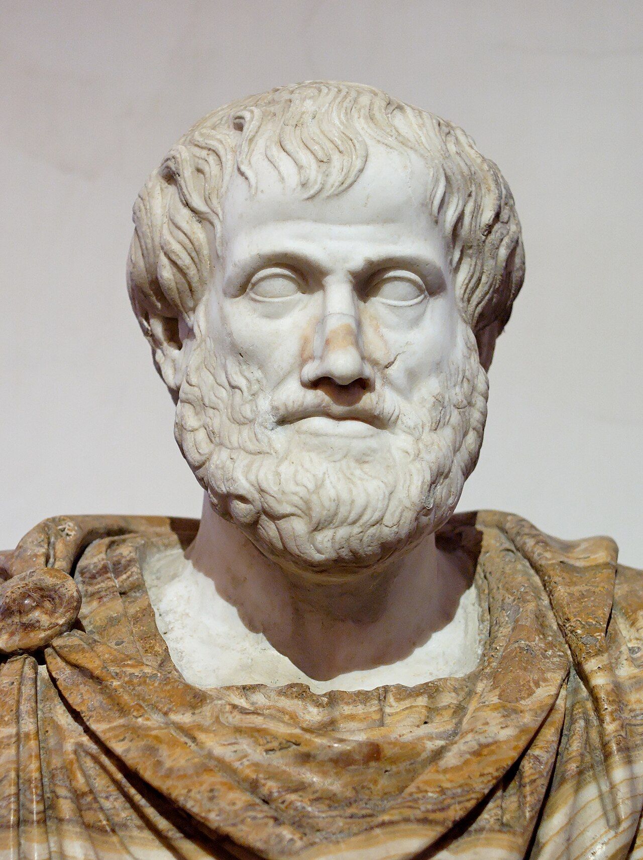 Marble bust of a bearded man wearing a draped mantle